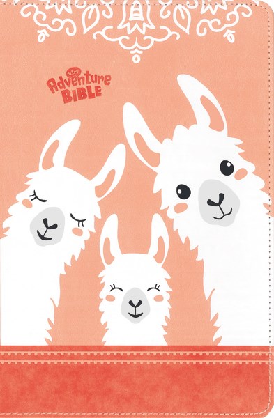 NIrV Adventure Bible For Early Readers (Full Color)-Coral Leathersoft Indexed