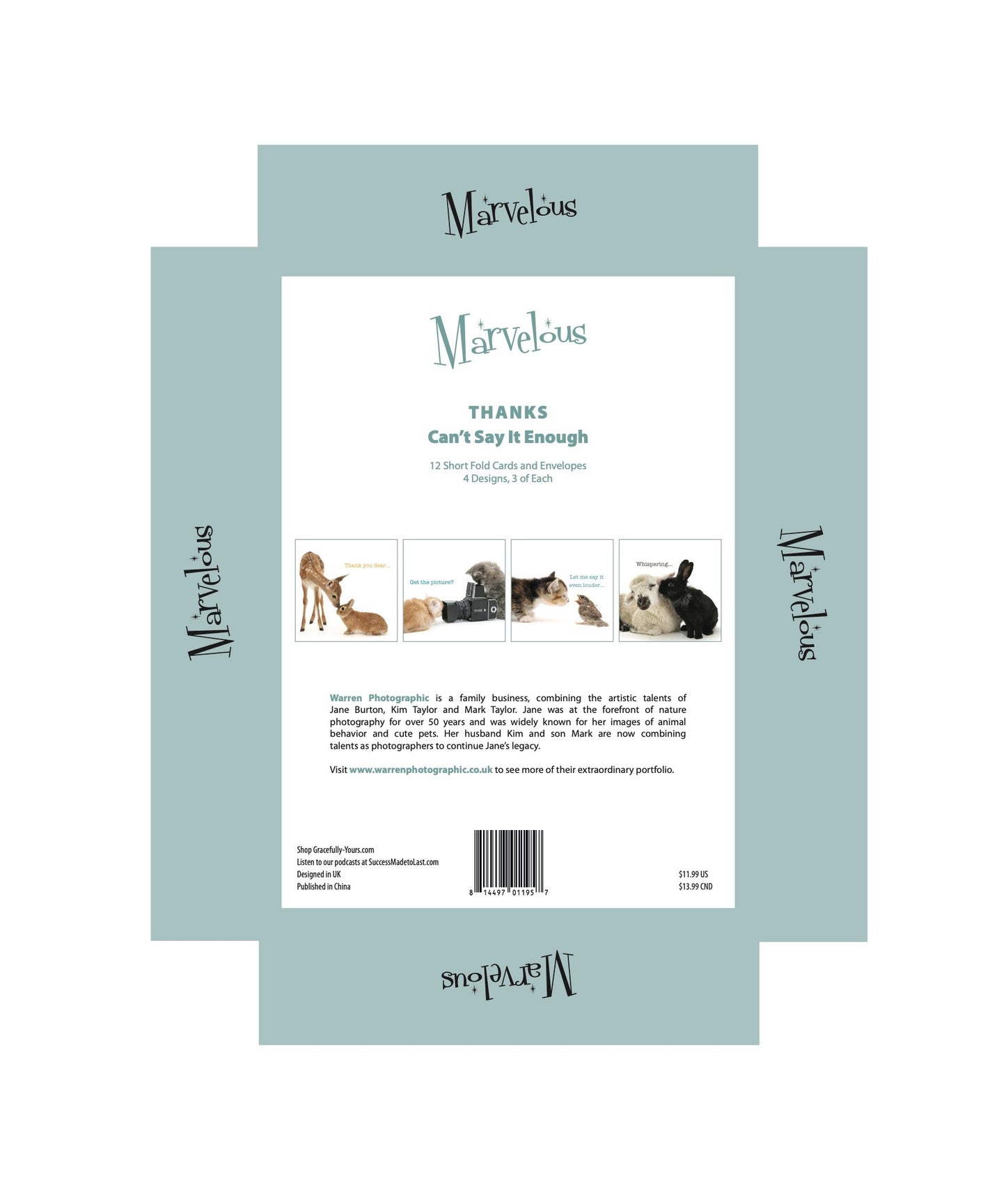 CARD-MARVELOUS CAN'T SAY IT ENOUGH THANKS #195 (BOX OF 12)