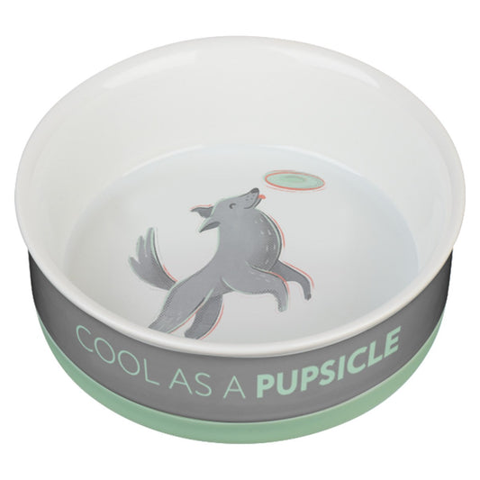 Pet-Bowl-Cool as a Pupsicle-Small-Gray