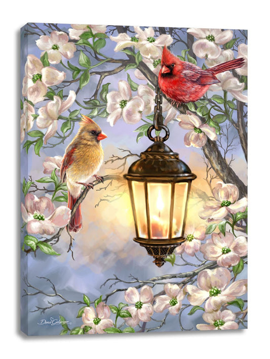 Frameless Canvas-Spring Lantern (10 x 14)