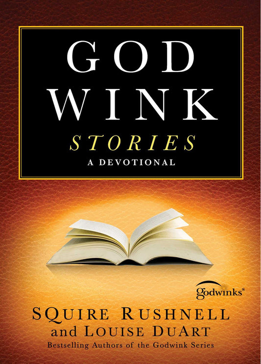 Godwink Stories: A Devotional (Godwinks #3)