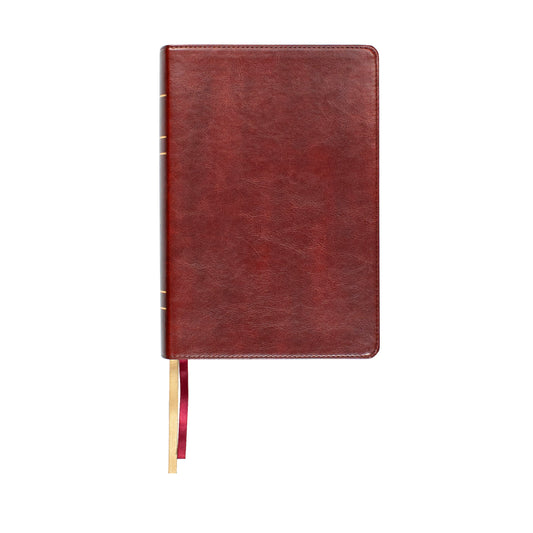 LSB Legacy Standard Bible/Large Print Wide Margin Bible-Reddish Brown Paste-Down Faux Leather