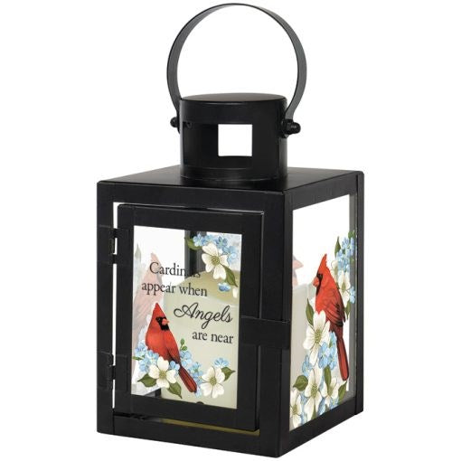 Lantern w/Flameless LED Candle & Timer-Cardinals Appear (4" x 9.5" x 4")