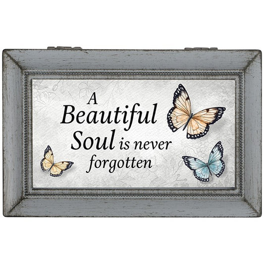 Music Box-Beautiful Soul/Amazing Grace