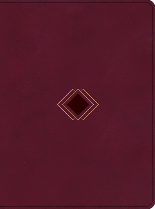 CSB Day-By-Day Chronological Bible-Burgundy LeatherTouch