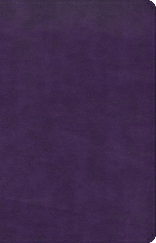 CSB Large Print Personal Size Reference Bible-Purple LeatherTouch