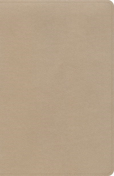 KJV Thinline Bible-Gold LeatherTouch