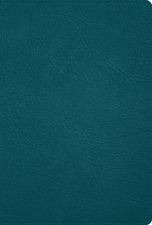 RVR 1960 Biblia Deluxe (Deluxe Bible  Holman Handcrafted Collection)-Turquoise Premium Goatskin
