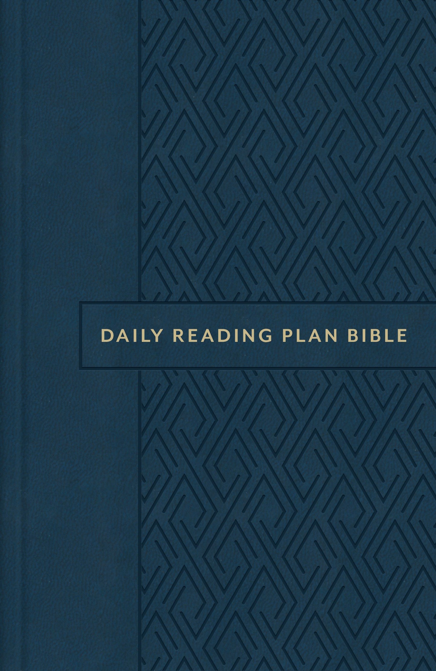 KJV The Daily Reading Plan Bible-Oxford Diamond Imitation Leather