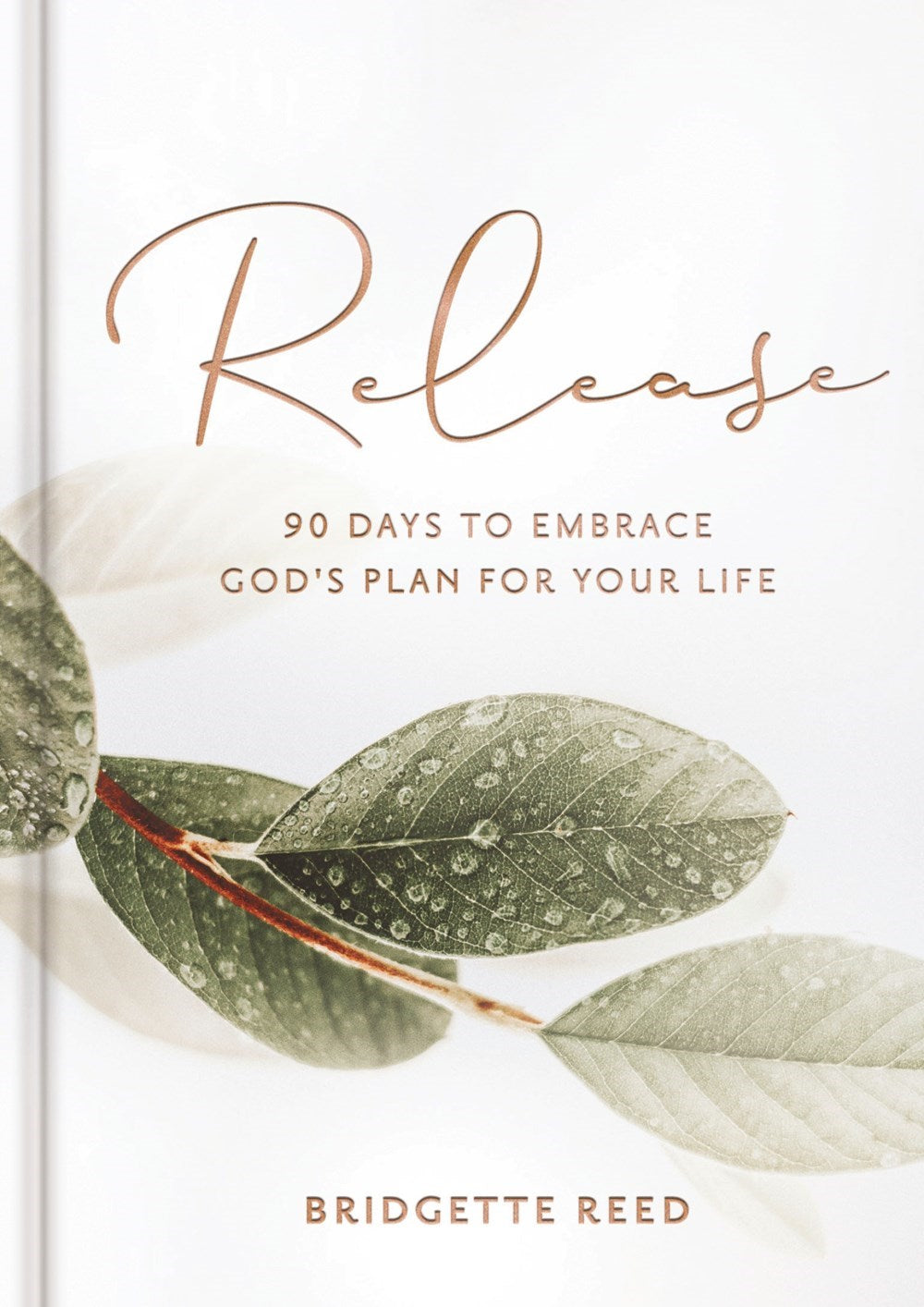 Release: 90 Days To Embrace God's Plans For Your Life