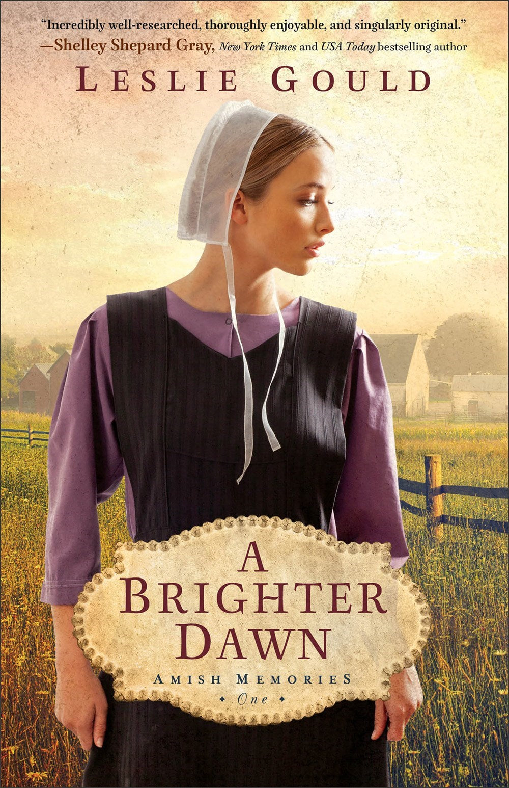 A Brighter Dawn (Amish Memories #1)