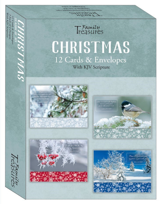 Card-Boxed-Christmas-Seasons Of Joy (Box Of 12)