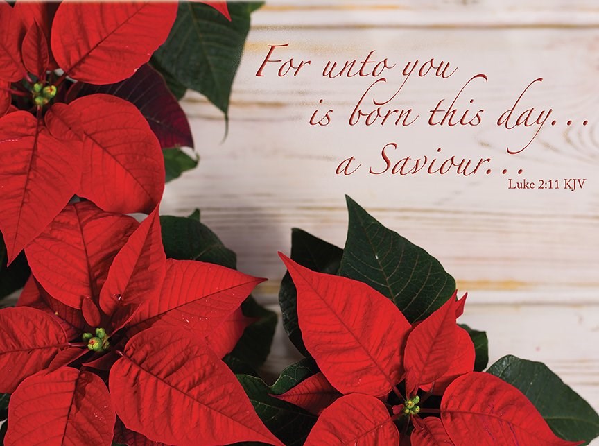 Card-Boxed-Christmas-Tidings Of Joy (Box Of 12)