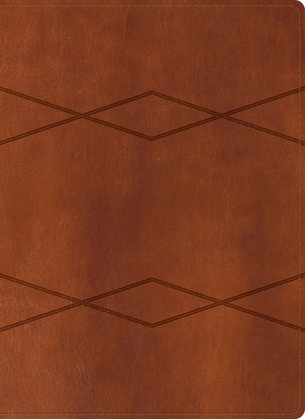 RVR 1960 Holman Study Bible (Biblia de Estudio Holman)-Brown LeatherTouch Indexed