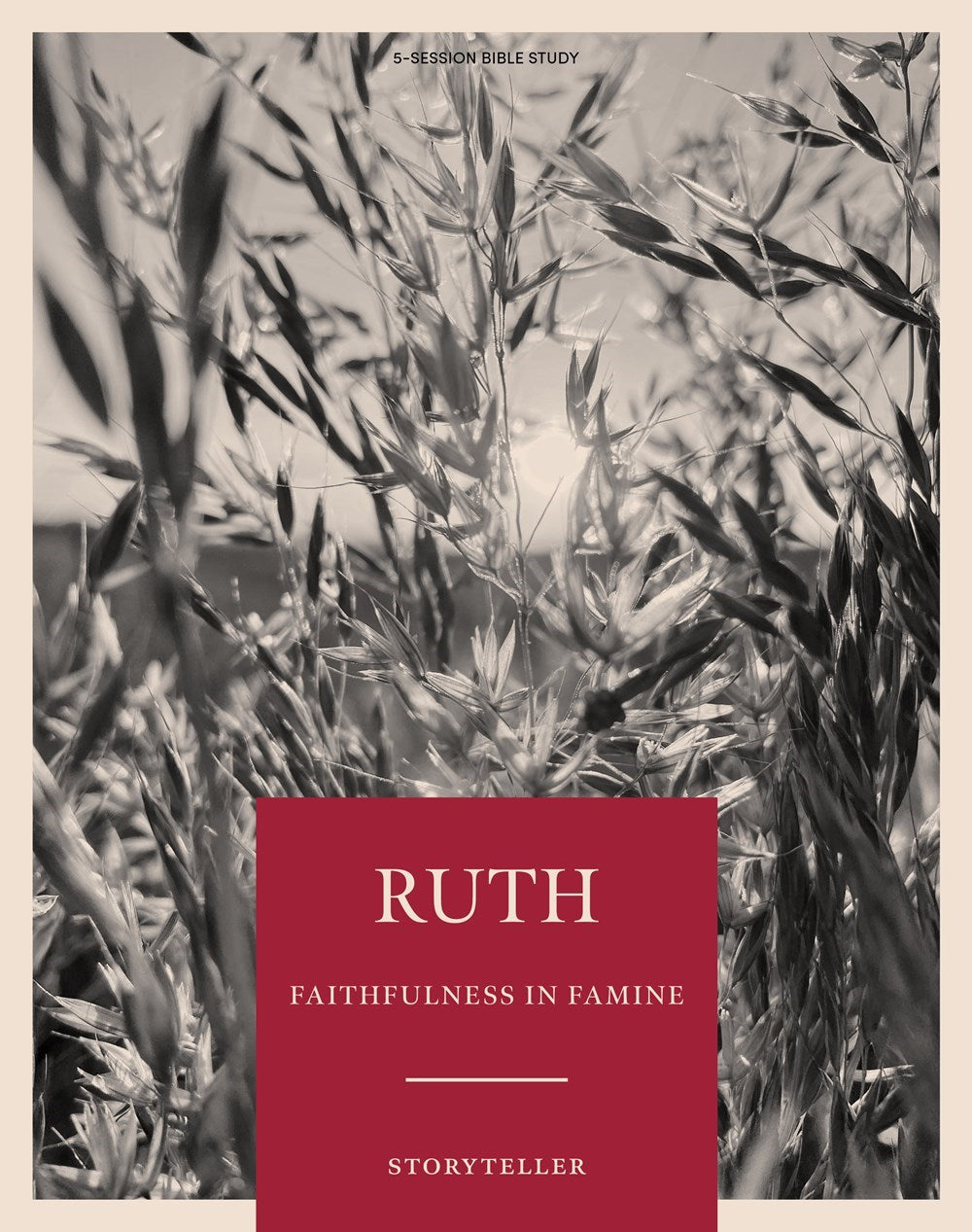 Storyteller: Ruth Bible Study Book