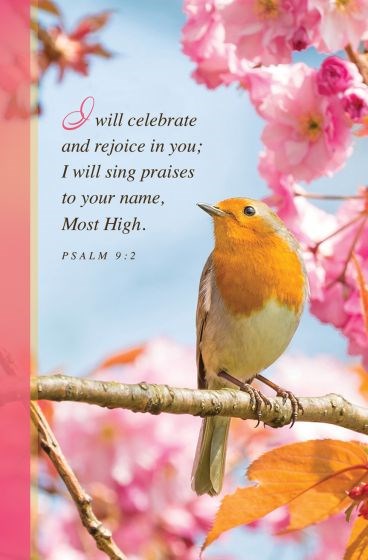 Bulletin-I Will Celebrate And Rejoice In You... (Pack Of 100)