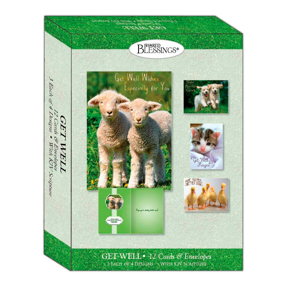 Boxed Card-Get Well-Fun Friends (Shared Blessings) (Box Of 12)