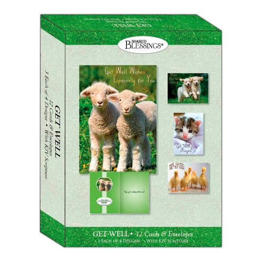 Boxed Card-Get Well-Fun Friends (Shared Blessings) (Box Of 12)
