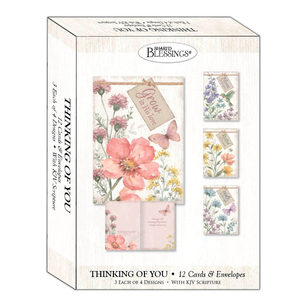 Card-Boxed-Shared Blessings-Thinking Of You-Peaceful Garden (Box Of 12)