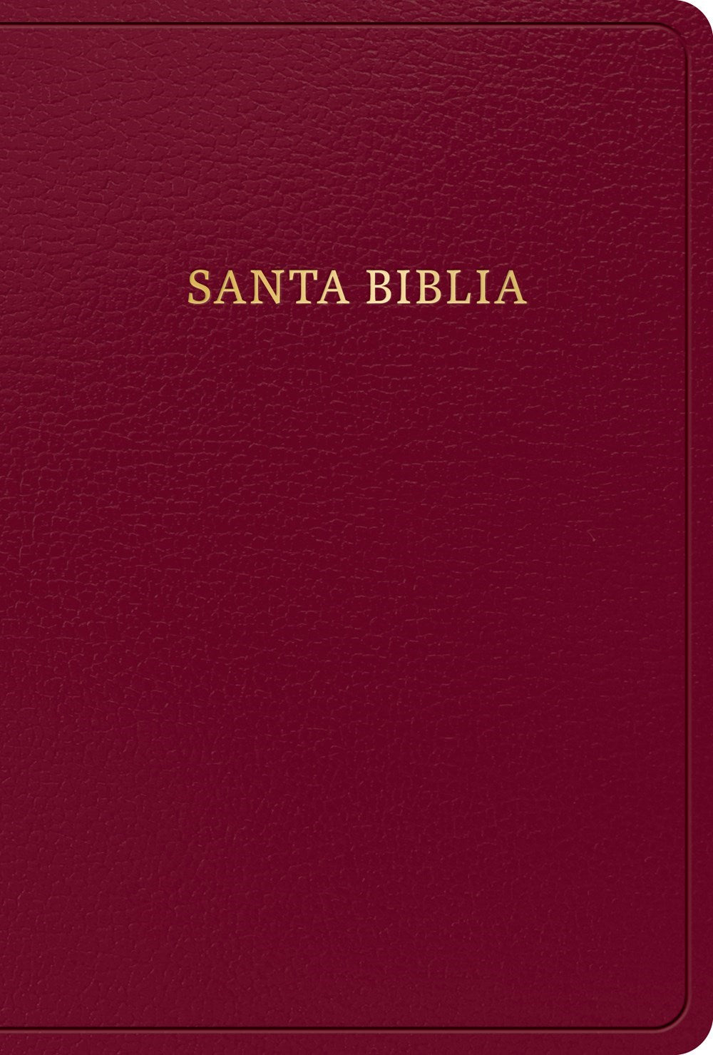 RVR 1960 Biblia Letra Grande Tamano Manual  Edicion 2023 (Hand Size Giant Print)-Burgundy Imitation Leather
