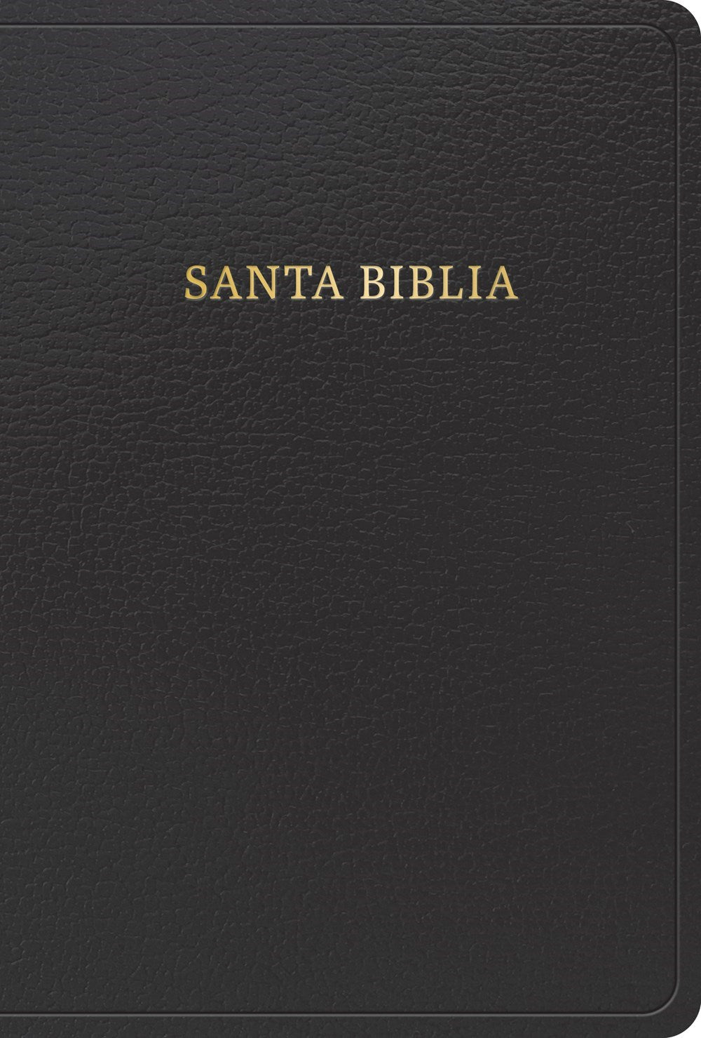 RVR 1960 Biblia Letra Grande Tamano Manual  Edicion 2023 (Hand Size Giant Print)-Black Imitation Leather Indexed