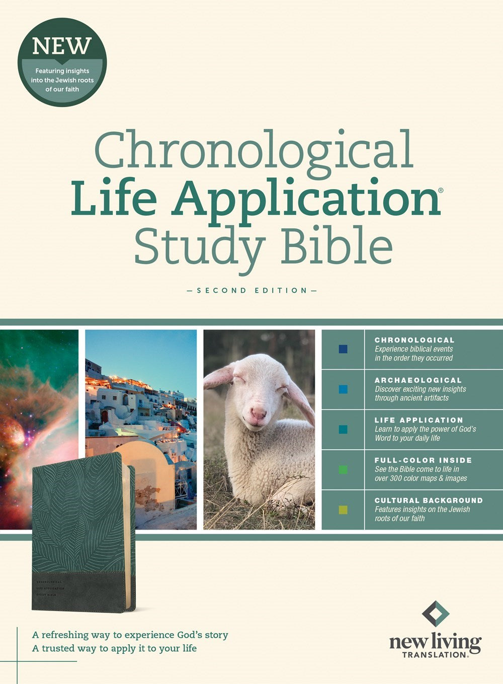 NLT Chronological Life Application Study Bible (Second Edition)-Palm Forest Teal LeatherLike