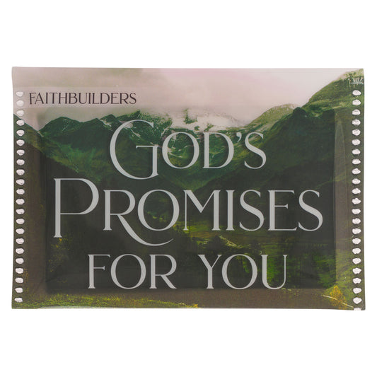 Faithbuilder Cards-God's Promises For You (Pack of 20)