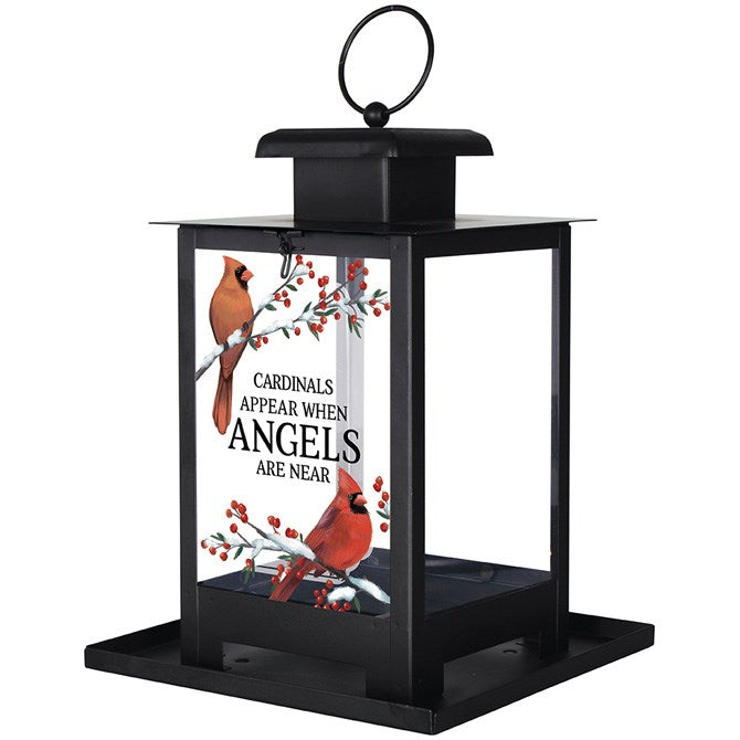 Bird Feeder-Cardinals Appear-Fall/Winter (12" x 7" x 7")