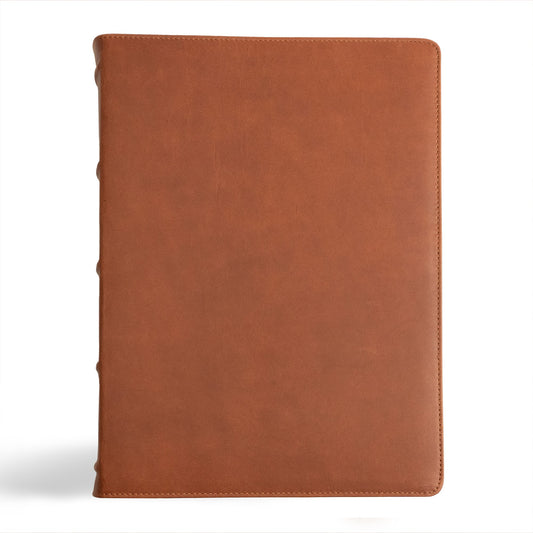 CSB Verse-By-Verse Reference Bible (Holman Handcrafted Collection)-Marbled Tan Premium Calfskin