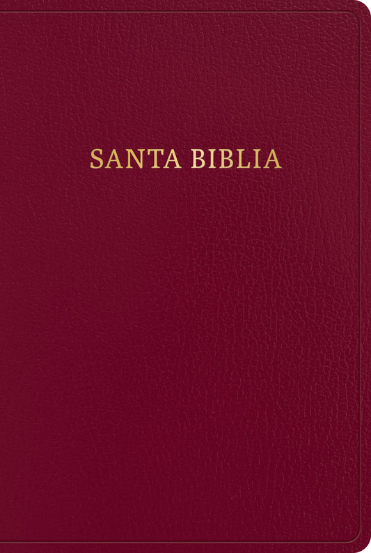 RVR 1960 Biblia Letra Gigante (Giant Print Bible)-Burgundy Bonded Leather