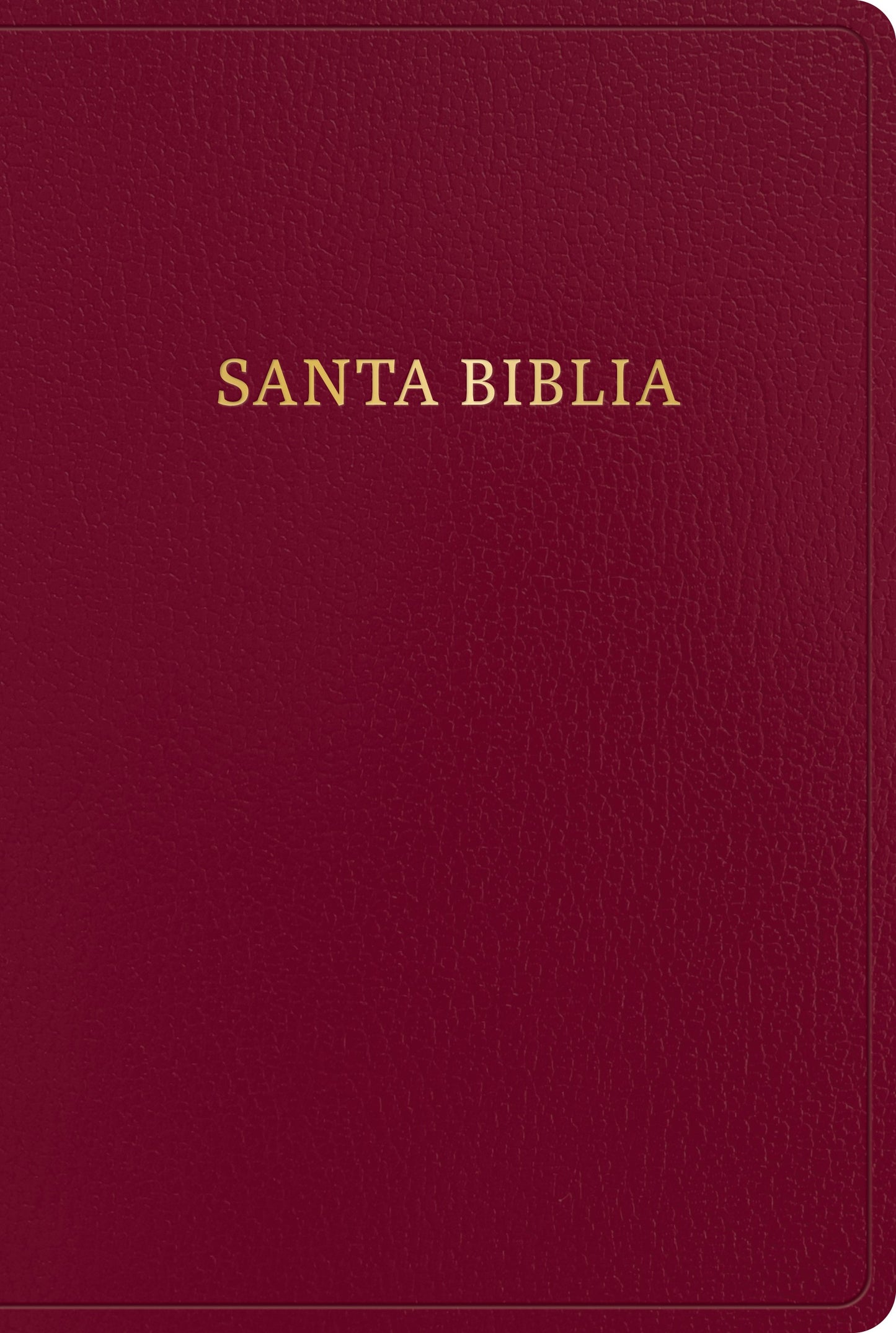 RVR 1960 Biblia Letra Gigante (Giant Print Bible)-Burgundy Bonded Leather Indexed