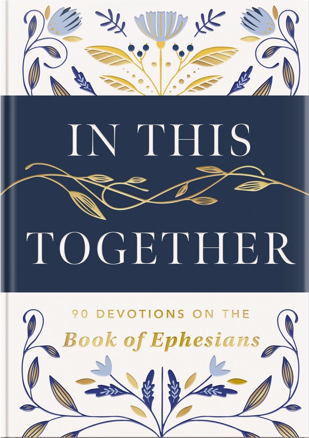 In This Together: 90 Devotions On The Book Of Ephesians