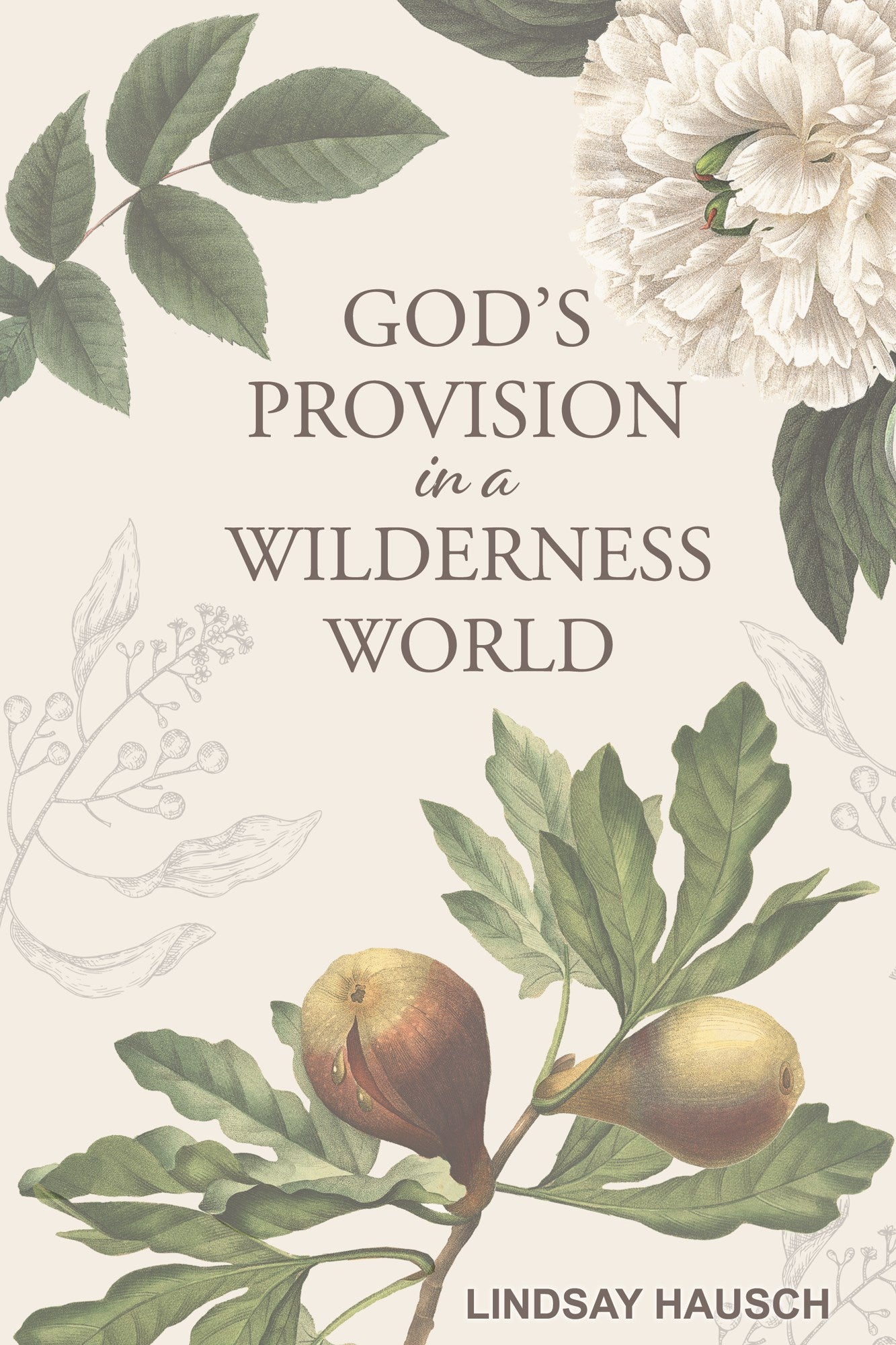 God's Provision In A Wilderness World
