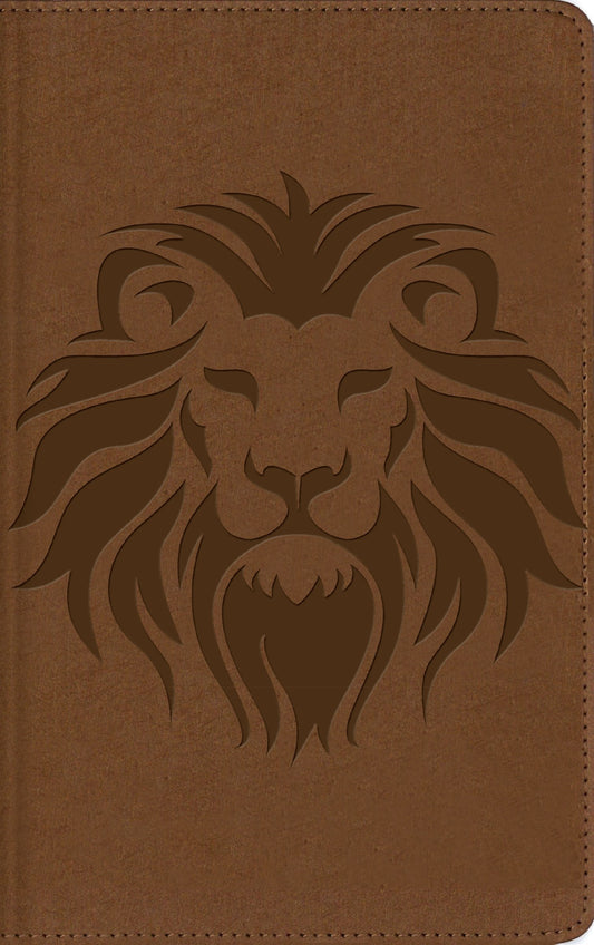 NBLA Kids' Visual Study Bible (Biblia Visual de Estudio Para Ninos)-Brown Leathersoft