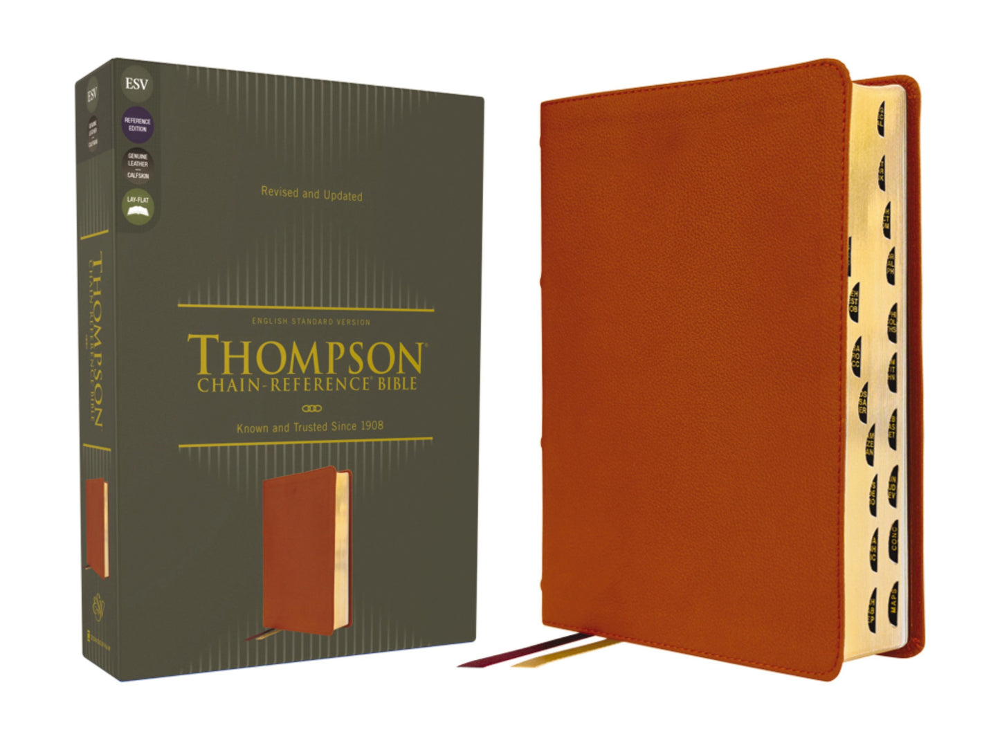 ESV Thompson Chain-Reference Bible-Tan Genuine Calfskin Leather Indexed