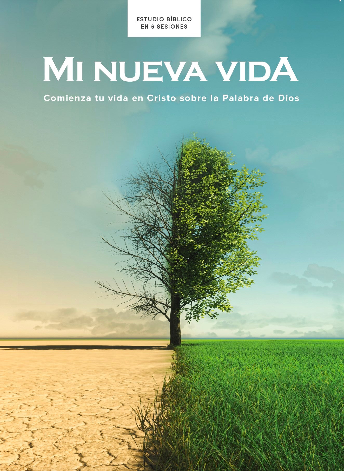 Mi Nueva Vida Estudio Biblico (My New Life Bible Study)