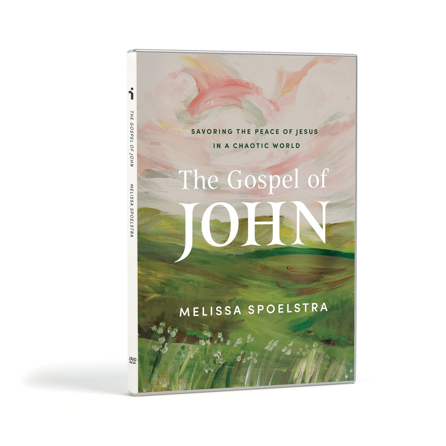 DVD-The Gospel of John DVD Set