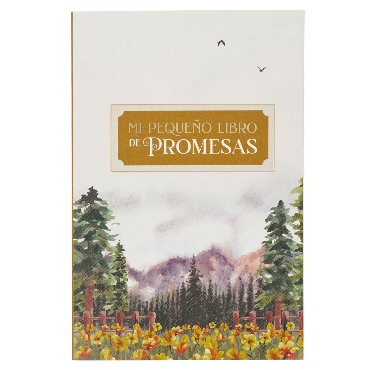 SPANISH-MY LITTLE BOOK OF PROMISES