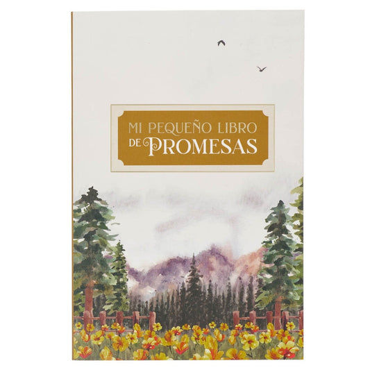 SPANISH-MY LITTLE BOOK OF PROMISES