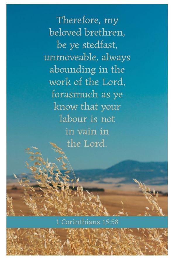 Bulletin-Be Ye Stedfast/Therefore  My Beloved Brethren... (Pack Of 100)
