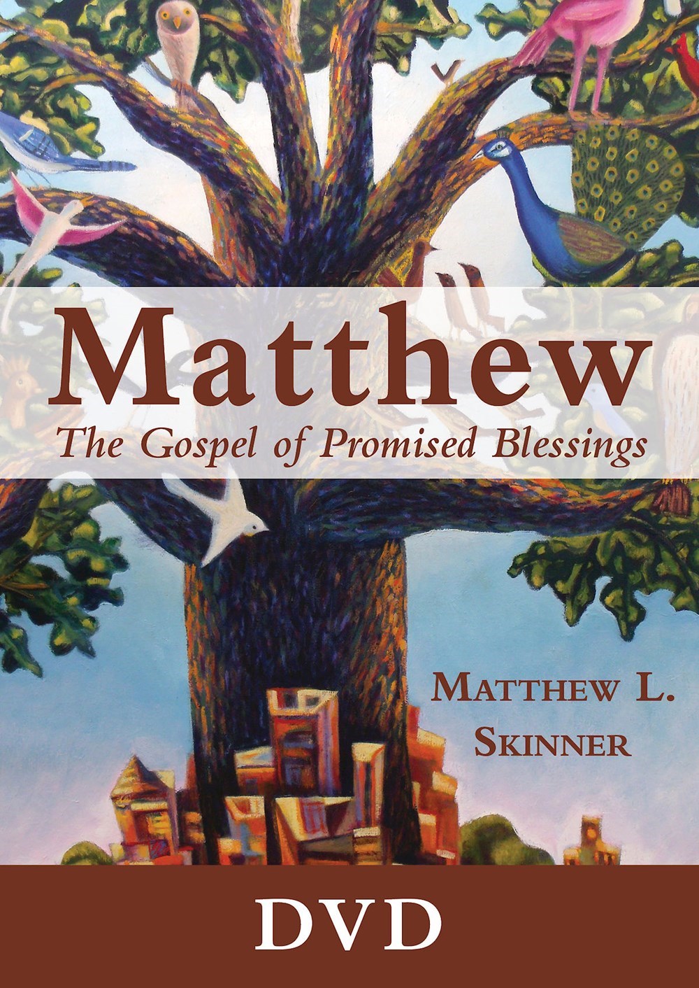 DVD-Matthew