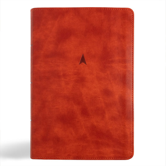 CSB Church Bible (Anglicised Edition)-British Tan LeatherTouch