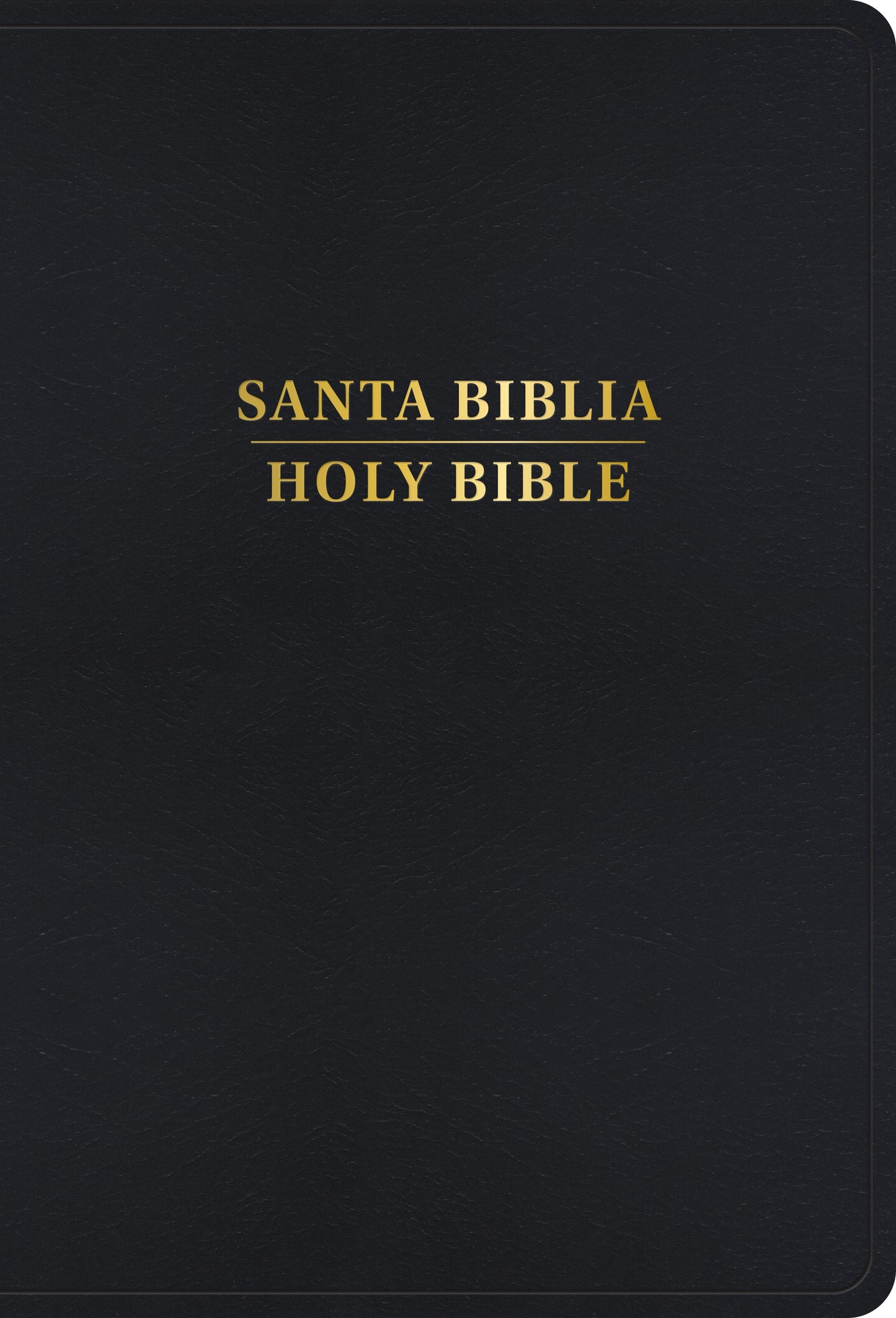RVR 1960/KJV Biblia Bilingue Letra Grande (Large Print Bilingual Bible)-Black Imitation Leather