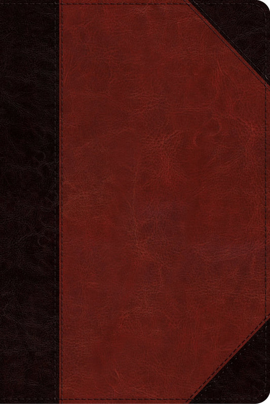 ESV Study Bible/Personal Size-Brown/Cordovan Portfolio Design TruTone