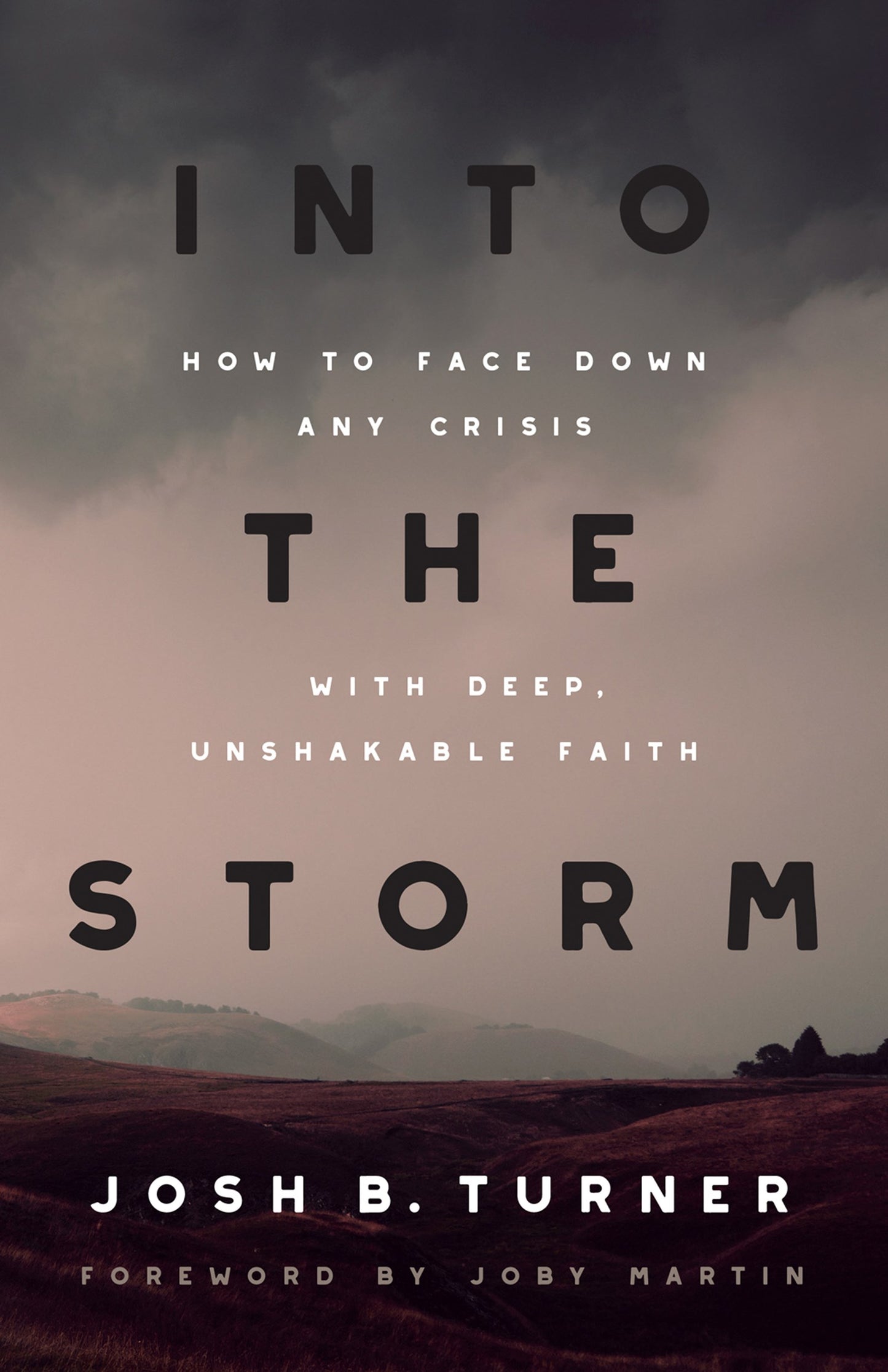 Into The Storm