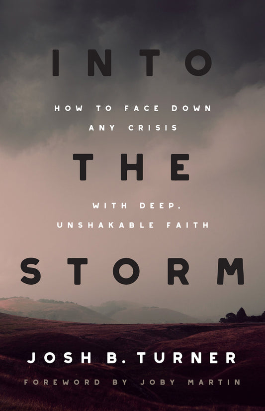 Into The Storm