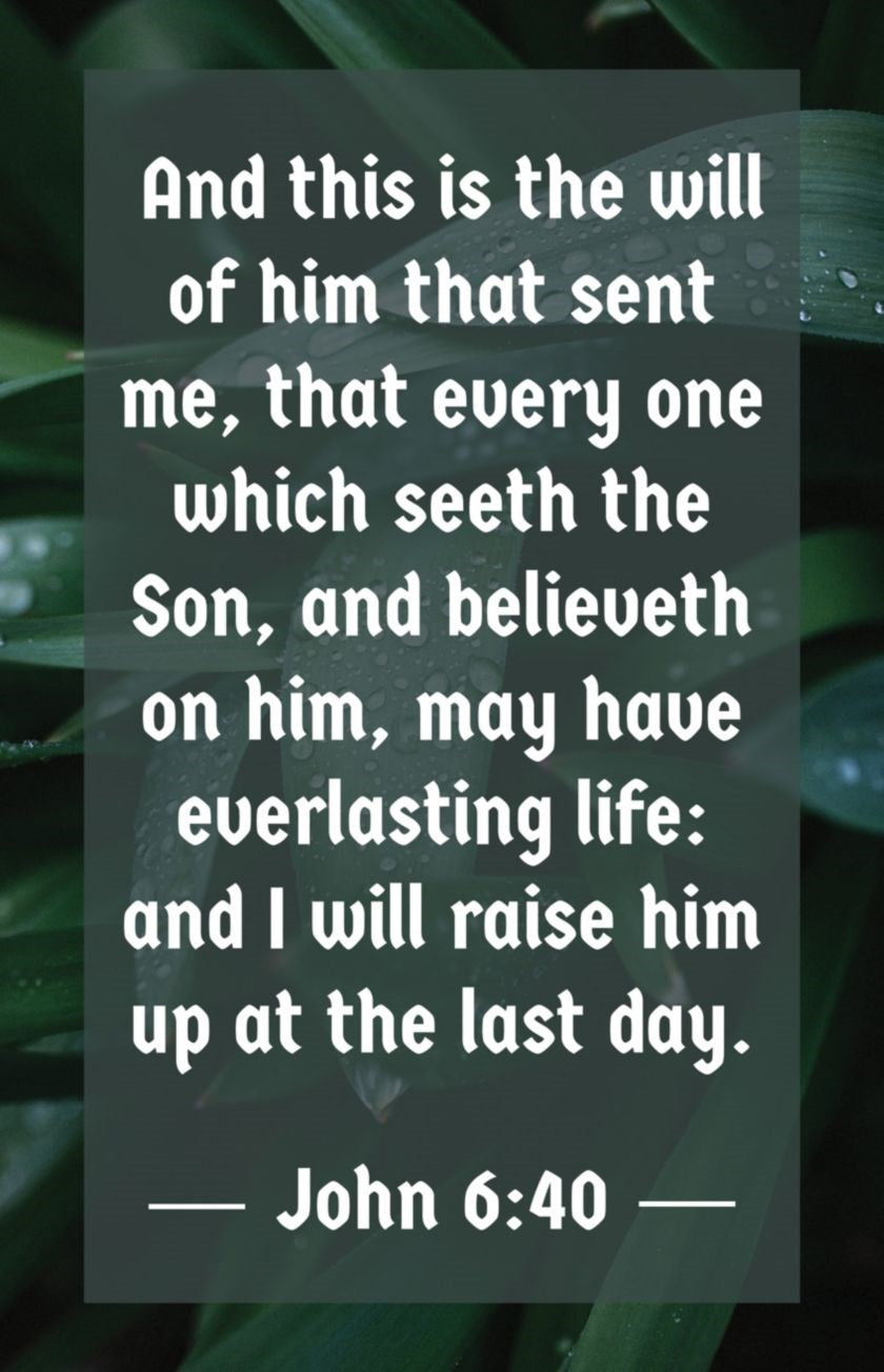 Bulletin-And This Is The Will Of Him That Sent Me...(John 6:40  KJV) (Pack Of 100)