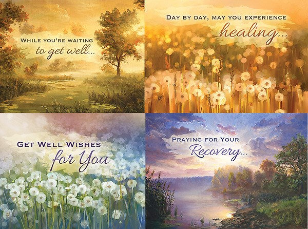 Boxed Card-Floral Expressions Assorted Get Well (NIV) (Box Of 12)