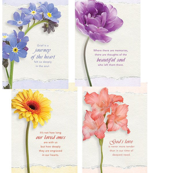 Boxed Card-Journey Of The Heart Assorted Sympathy (NIV) (Box Of 12)